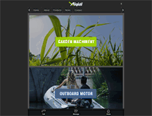 Tablet Screenshot of anqidi.com